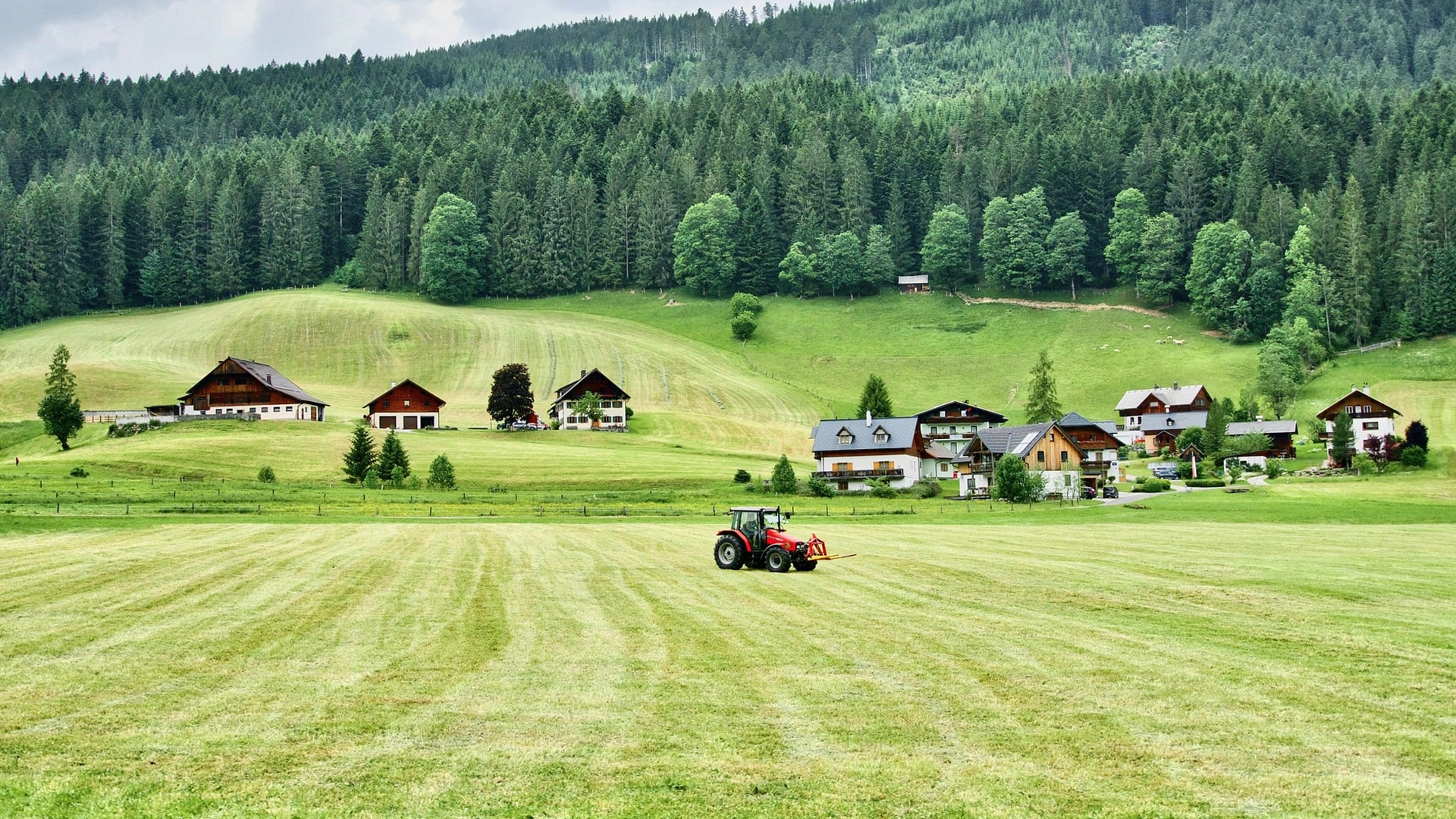 Landwirtschaft & Ackerbau
