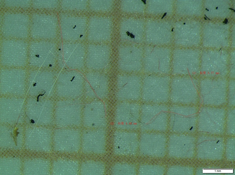 Stichprobenprüfung des Hydraulikölsystems bestanden